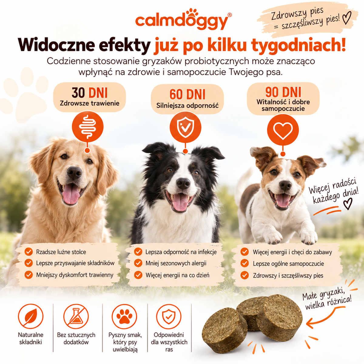 CalmDoggy - Probiotyczne gryzaki dla psów