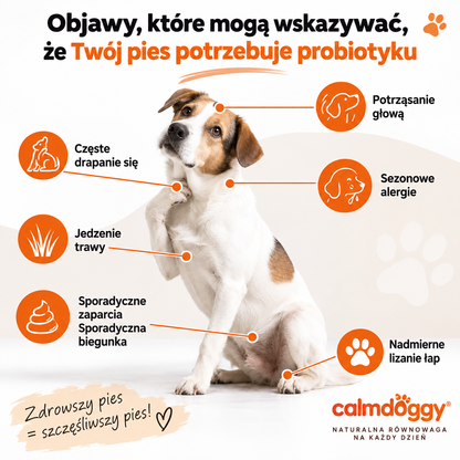 CalmDoggy - Probiotyczne gryzaki dla psów